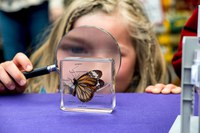 Students gather in Carrbridge for land conference
