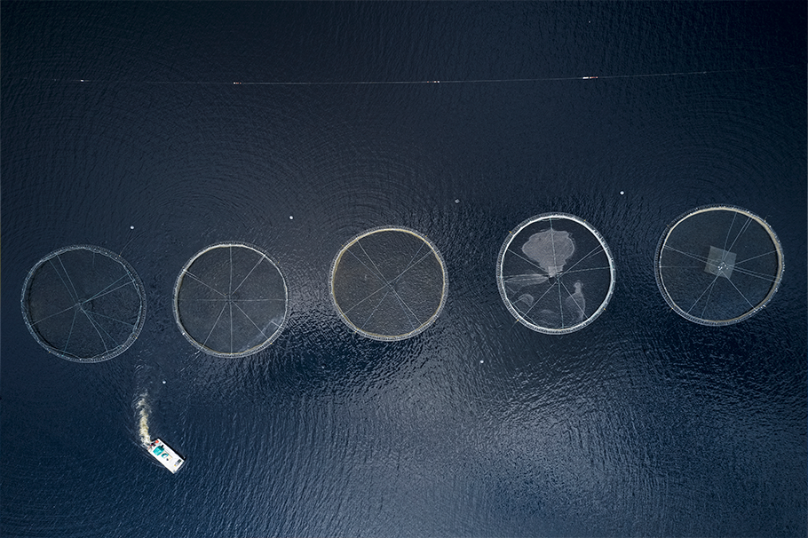 Aerial view of a fish farm Aerial view of a fish farm